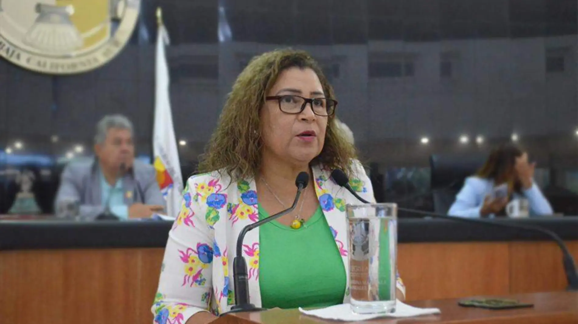 Diputada María Luisa Ojeda Gonzalez 